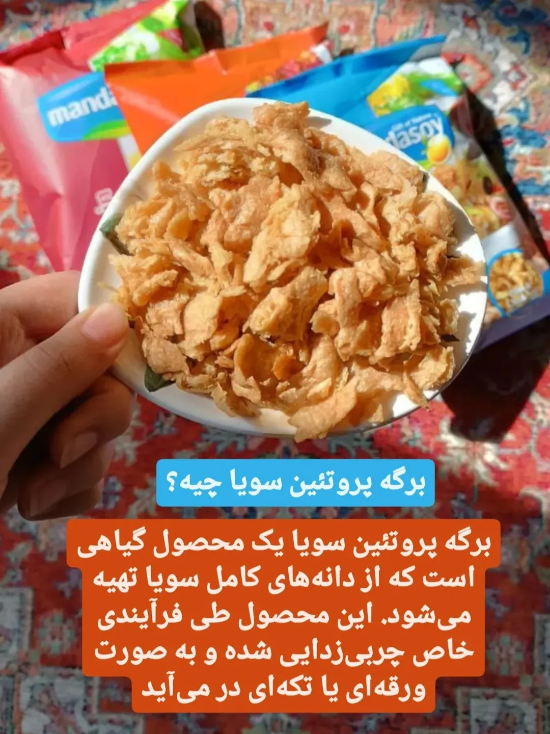 برگه پروتئین سویا طعم دار جوجه کبابی