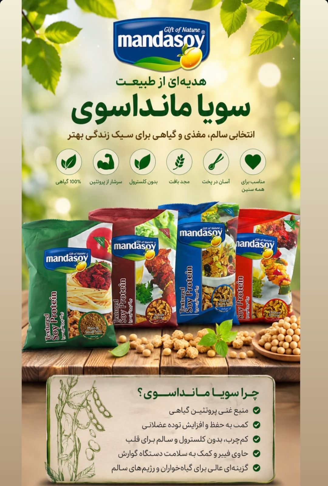 برگه پروتئین سویا ریز